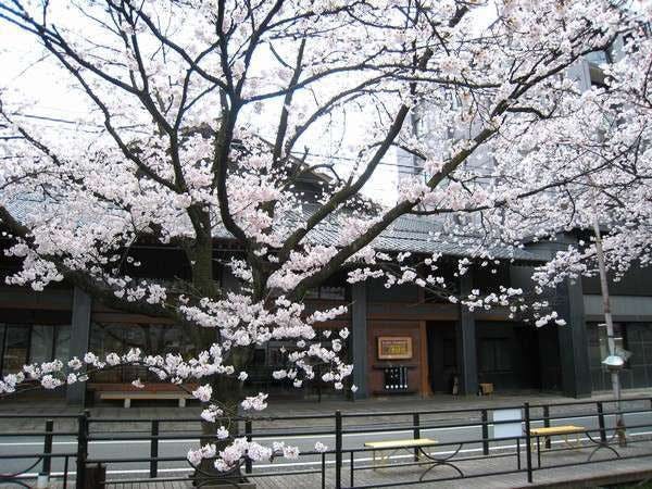 銘石の宿　かげつ