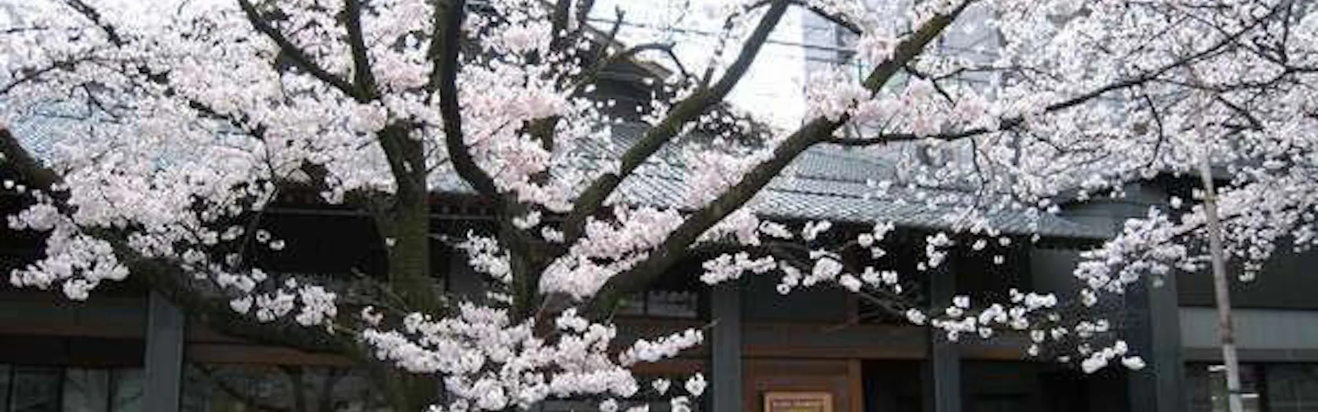 銘石の宿 かげつ