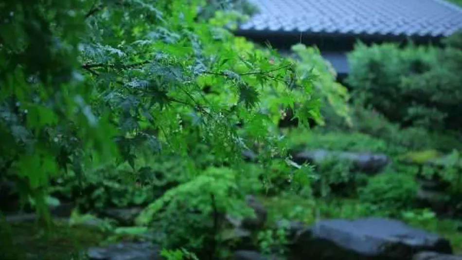 Gero Onsen Kokoro wo Naderu Seijaku Miyako