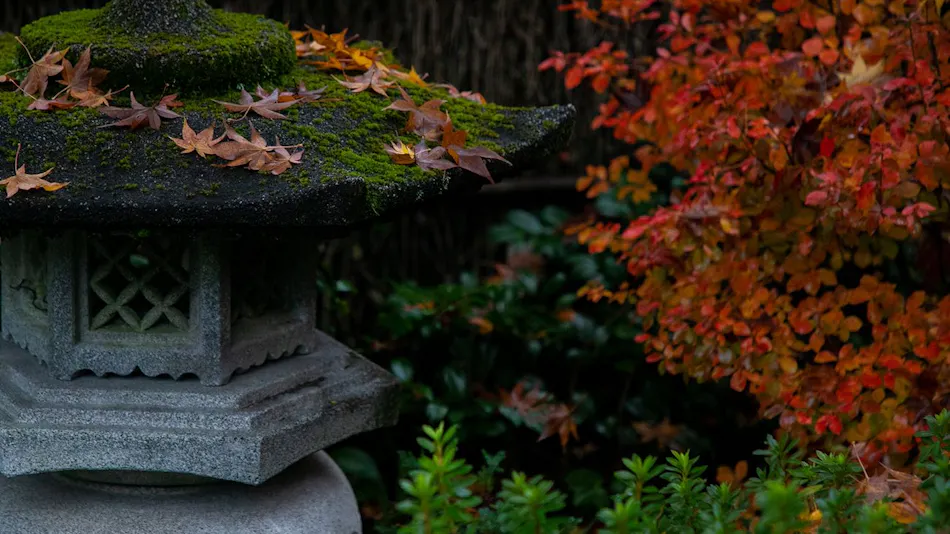 Gero Onsen Kokoro wo Naderu Seijaku Miyako