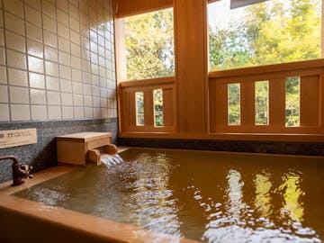 修善寺温泉でおすすめの宿 いま一休で最も売れている宿をご紹介 最上のひとときを 一休 Com 修善寺温泉でおすすめの宿 いま一休で最も売れている宿をご紹介 最上のひとときを 一休 Com