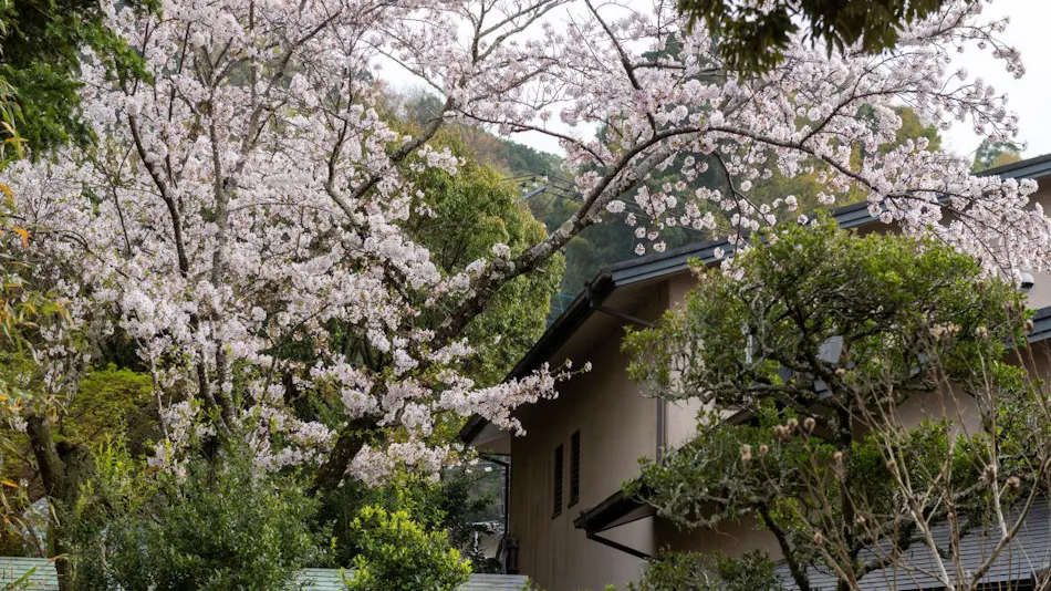 Yumekairo Kikuya (Kyoritsu Resort)