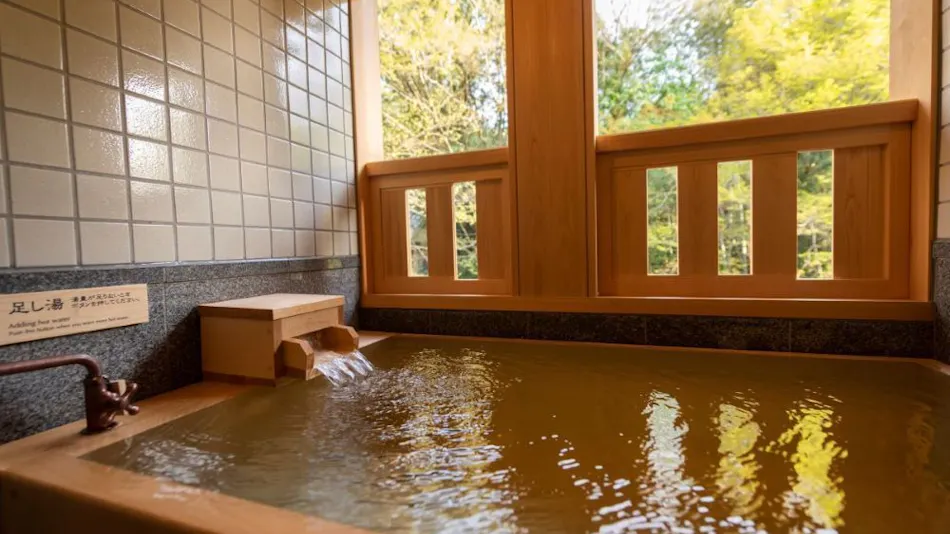 Yumekairo Kikuya (Kyoritsu Resort)