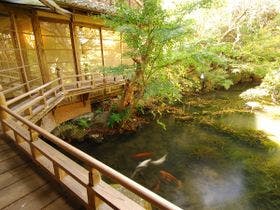 伊豆修善寺温泉　湯回廊　菊屋