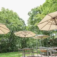 ※Maple Lounge Garden Terrace