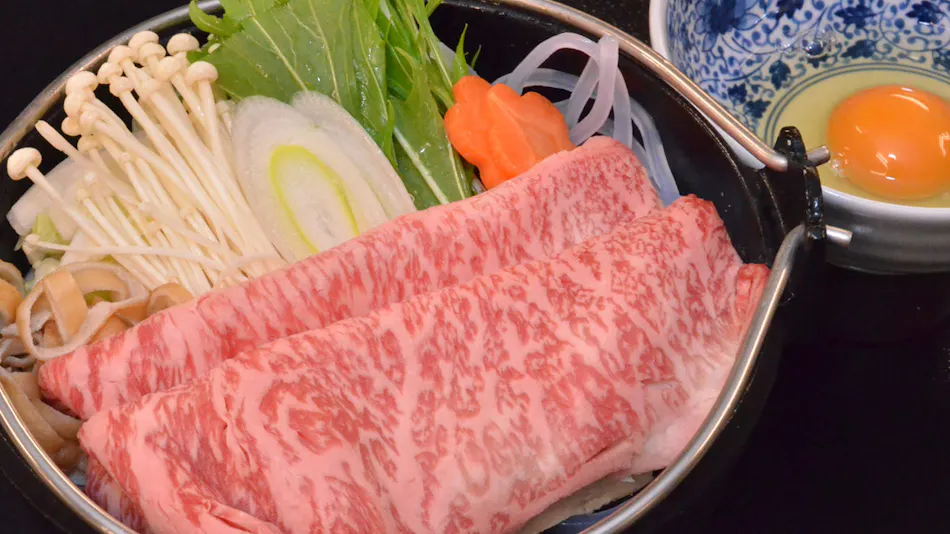 Morioka Tsunagi Onsen Shikitei