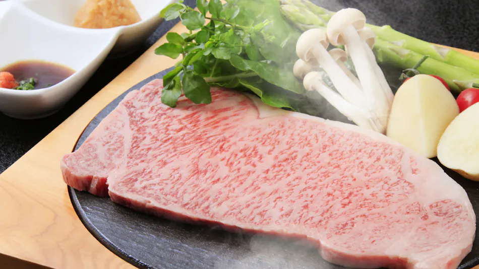 Morioka Tsunagi Onsen Shikitei