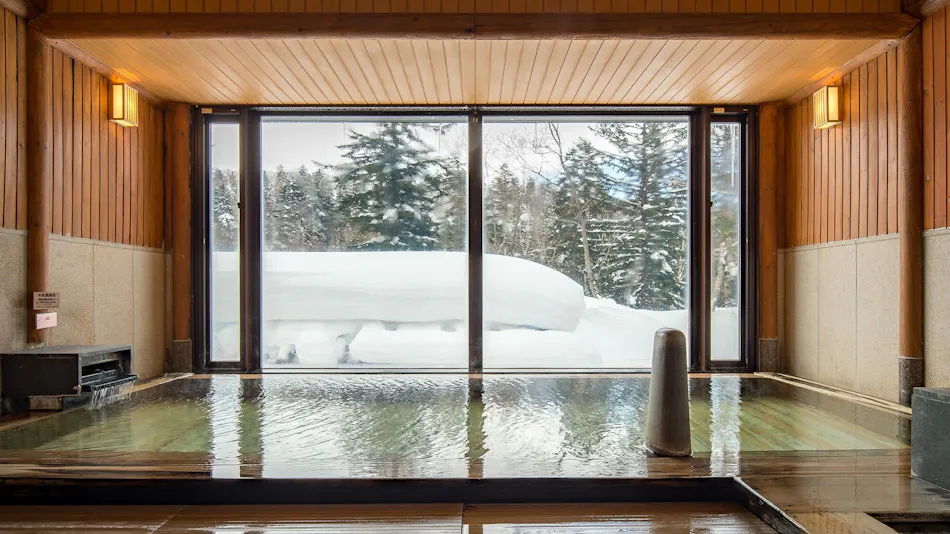 La Vista Daisetsuzan (Kyoritsu Resort)