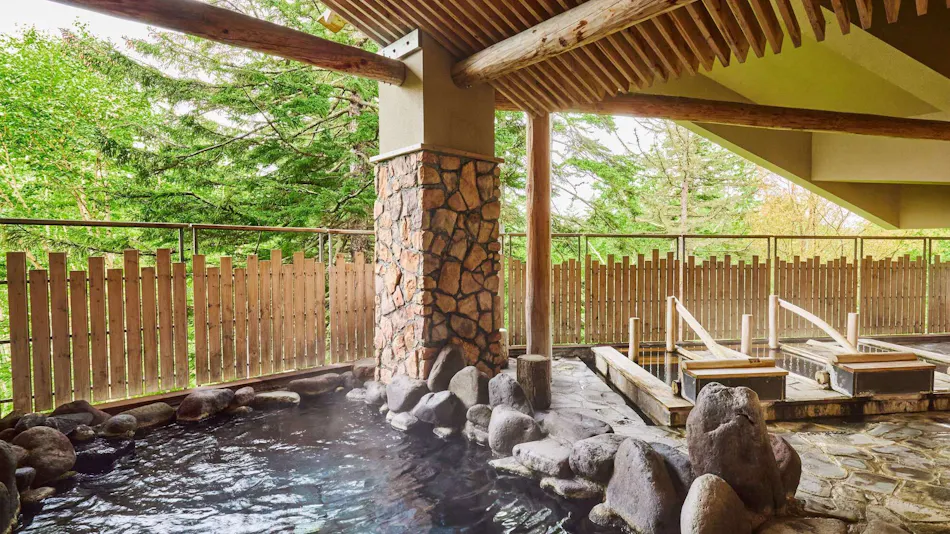 La Vista Daisetsuzan (Kyoritsu Resort)