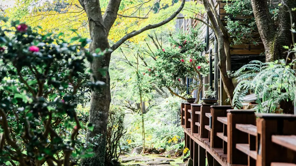 Kirishima Momiji Valley Seiryuso