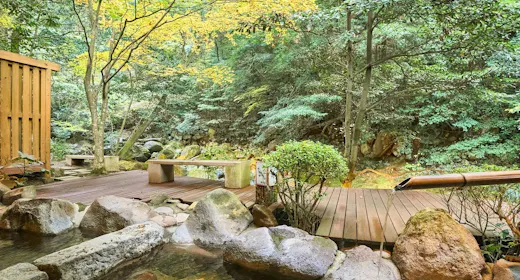 【早期割60】早めの予約がお得。鹿児島黒豚と旬菜を愉しむ味わい会席<2食付/霧会席>