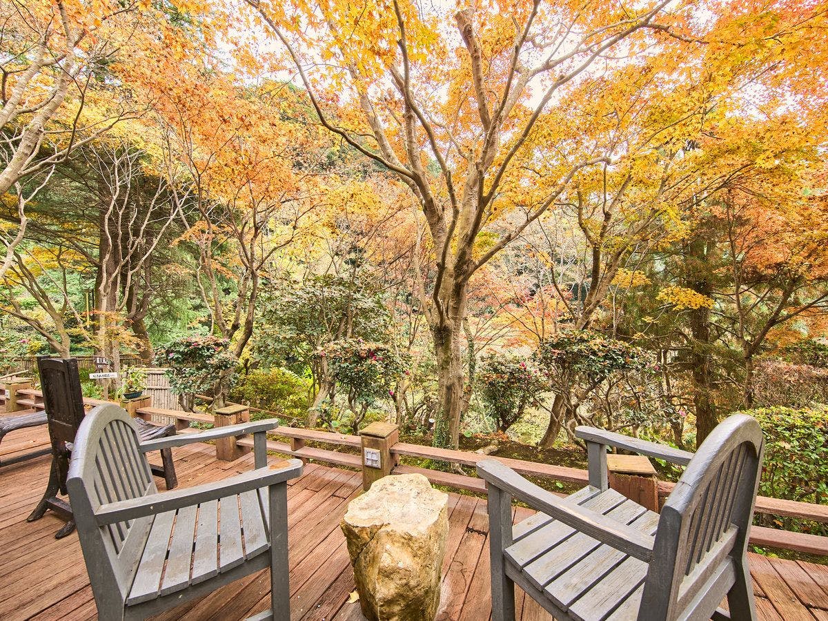 【ระเบียงไม้เด็ค】