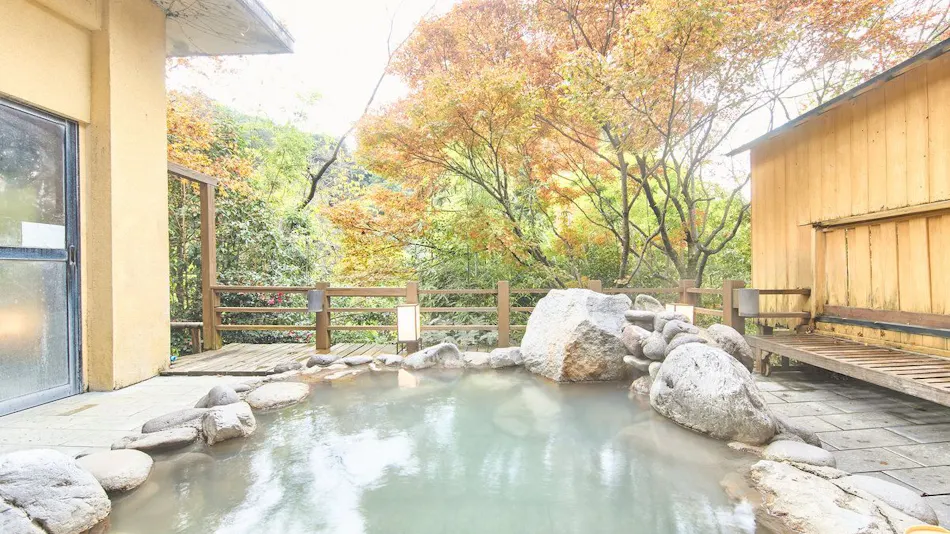 Kirishima Momiji Valley Seiryuso