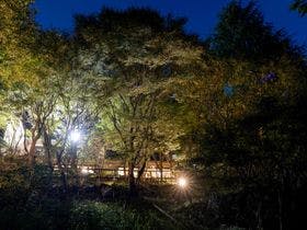 霧島もみじ谷 3枚目