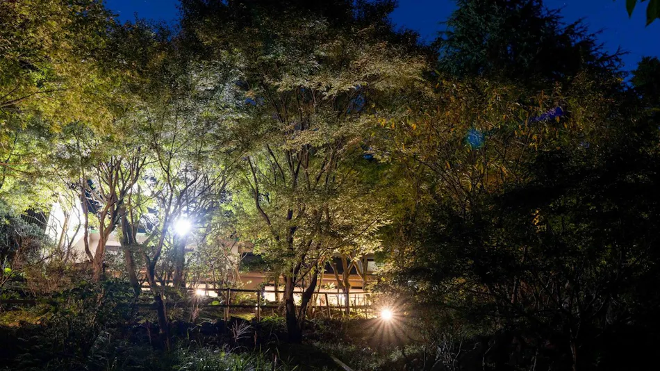 Kirishima Momiji Valley Seiryuso