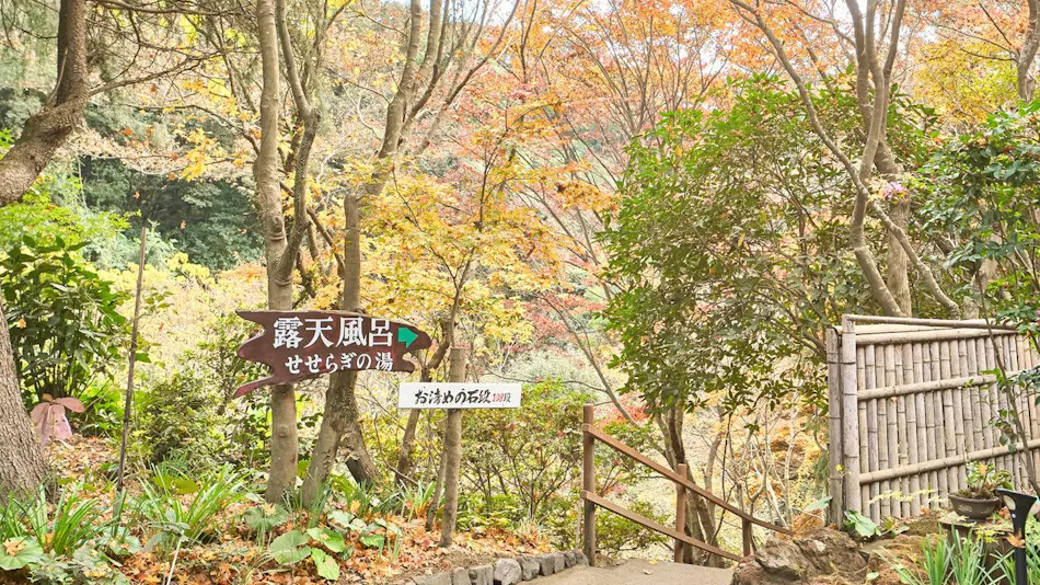 Kirishima Momiji Valley Seiryuso
