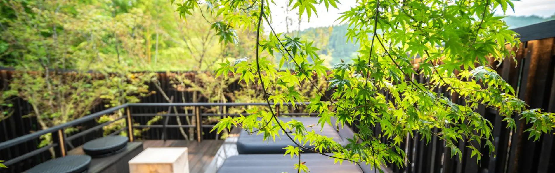 秘境 白川源泉 山荘 竹ふえ