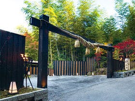 秘境 白川源泉 山荘 竹ふえ