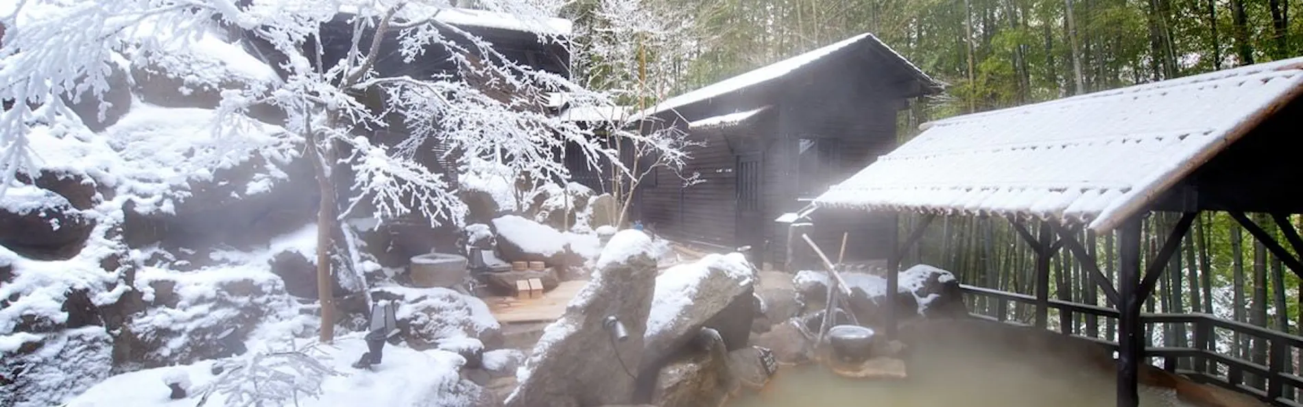 秘境 白川源泉 山荘 竹ふえ