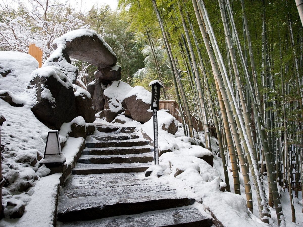秘境　白川源泉　山荘　竹ふえ