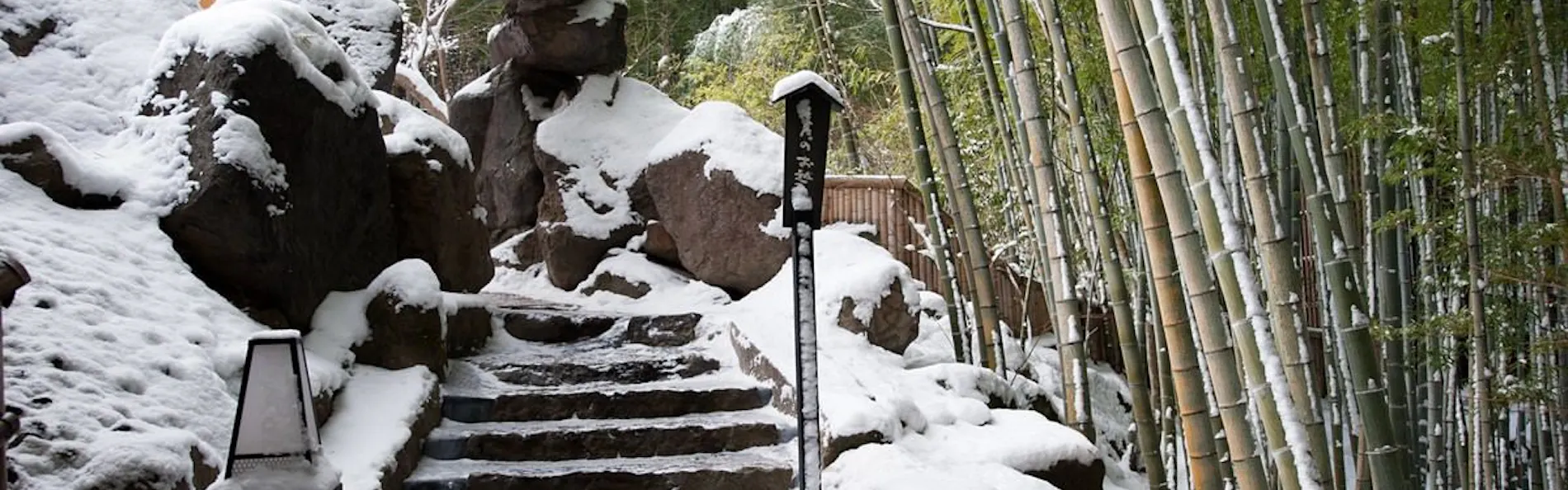 秘境 白川源泉 山荘 竹ふえ