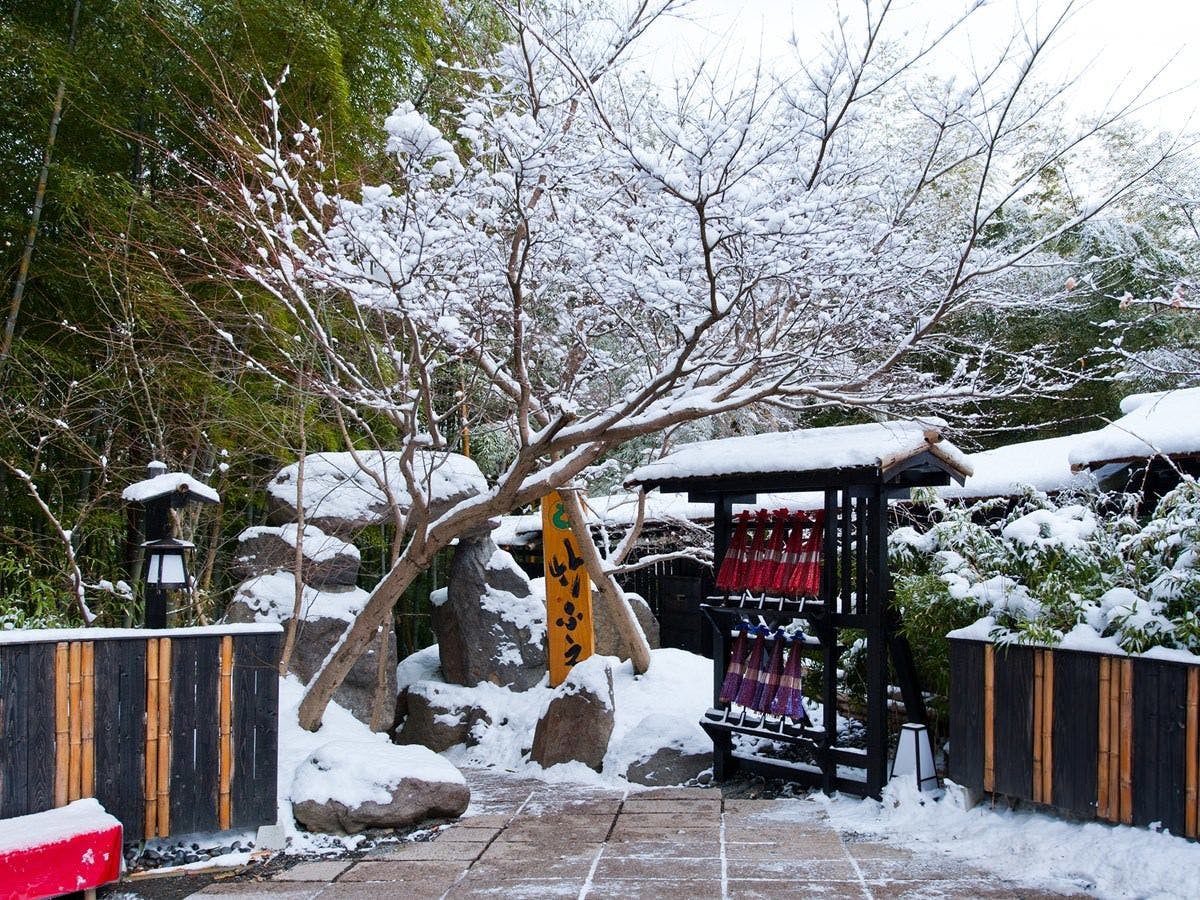 秘境　白川源泉　山荘　竹ふえ