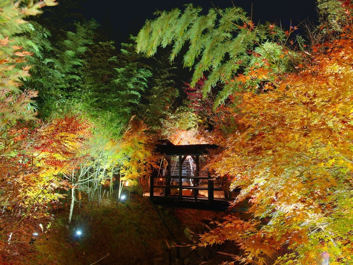 秘境　白川源泉　山荘　竹ふえ