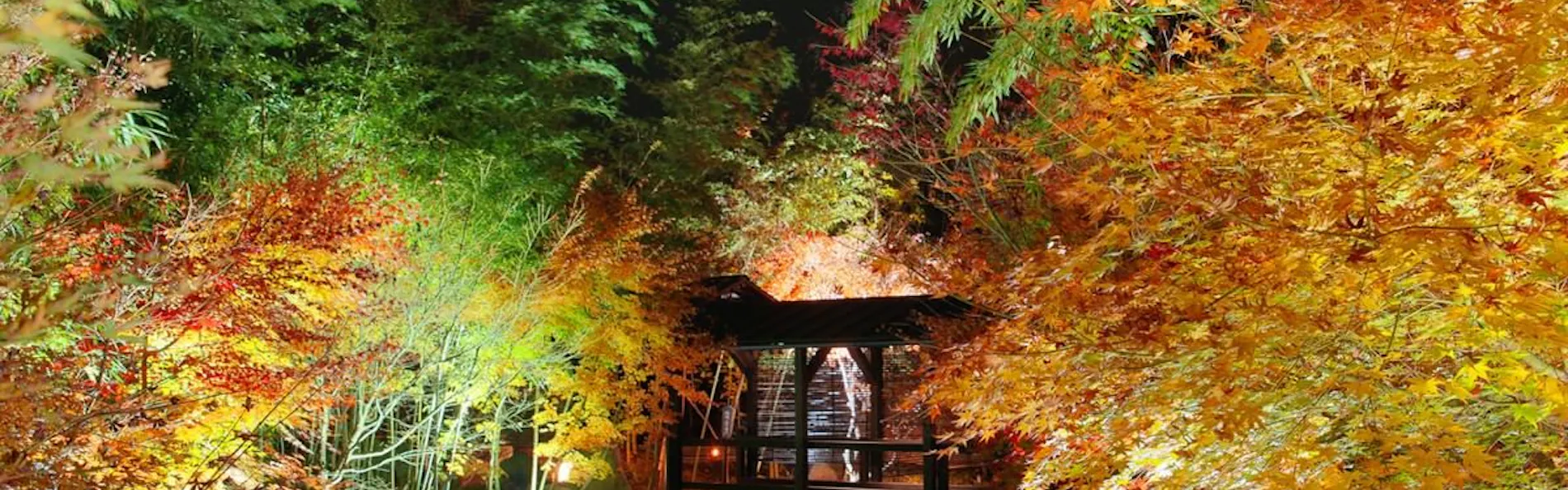 秘境 白川源泉 山荘 竹ふえ