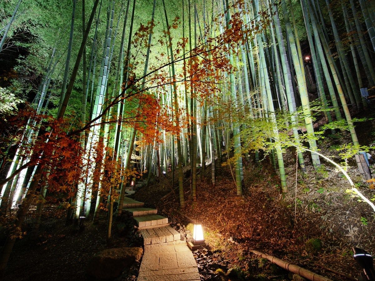 秘境　白川源泉　山荘　竹ふえ