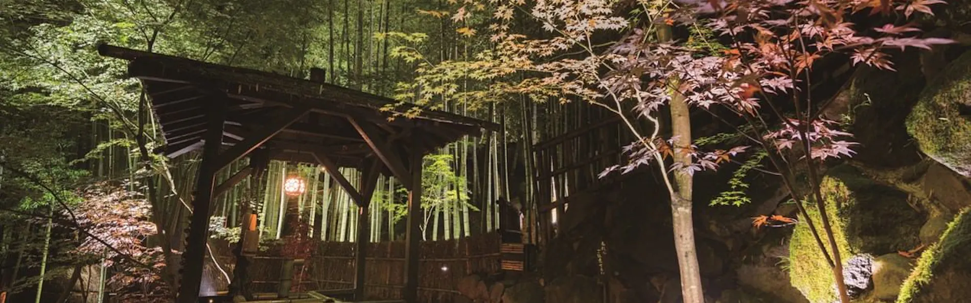 秘境 白川源泉 山荘 竹ふえ
