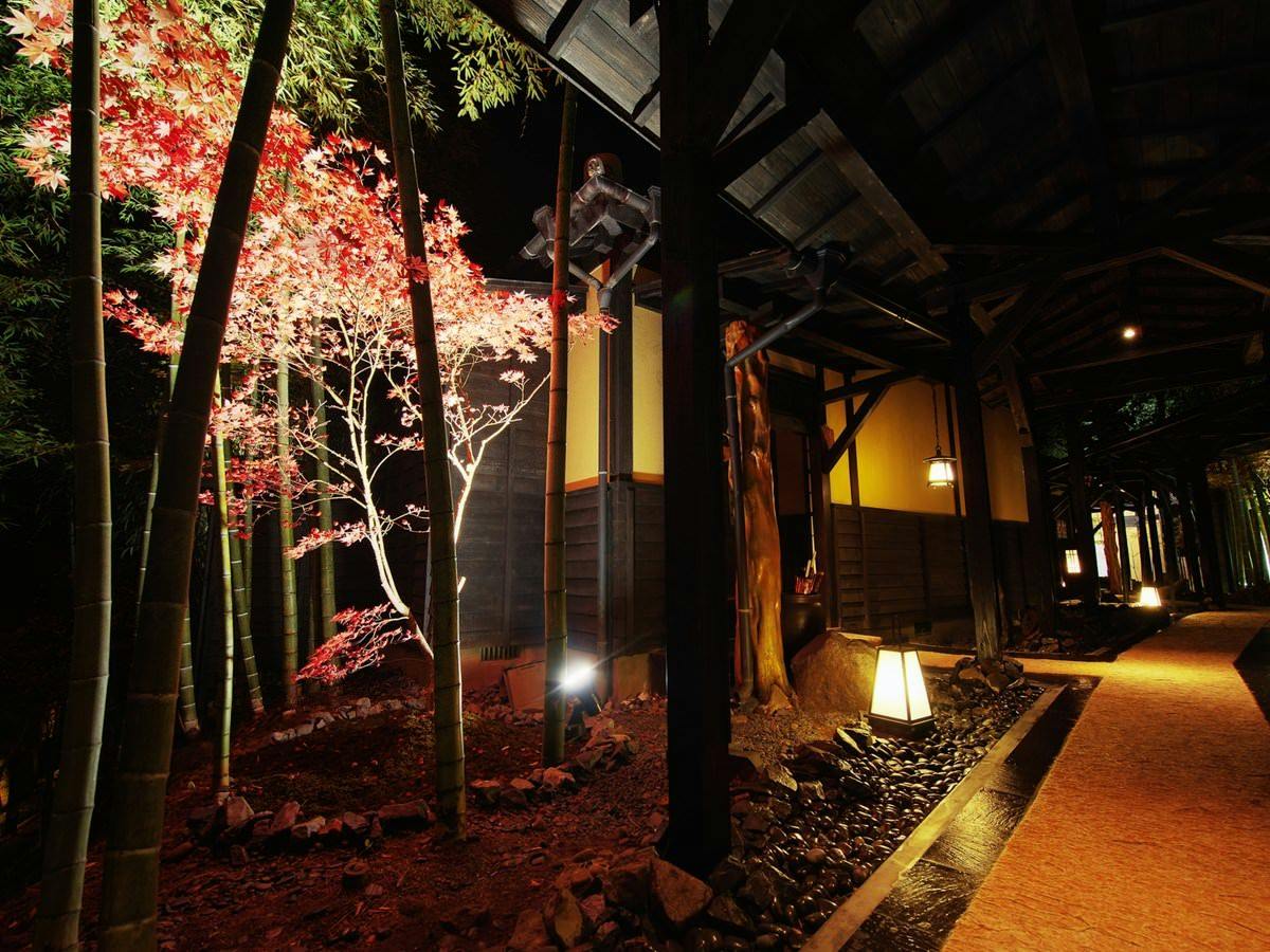 秘境　白川源泉　山荘　竹ふえ