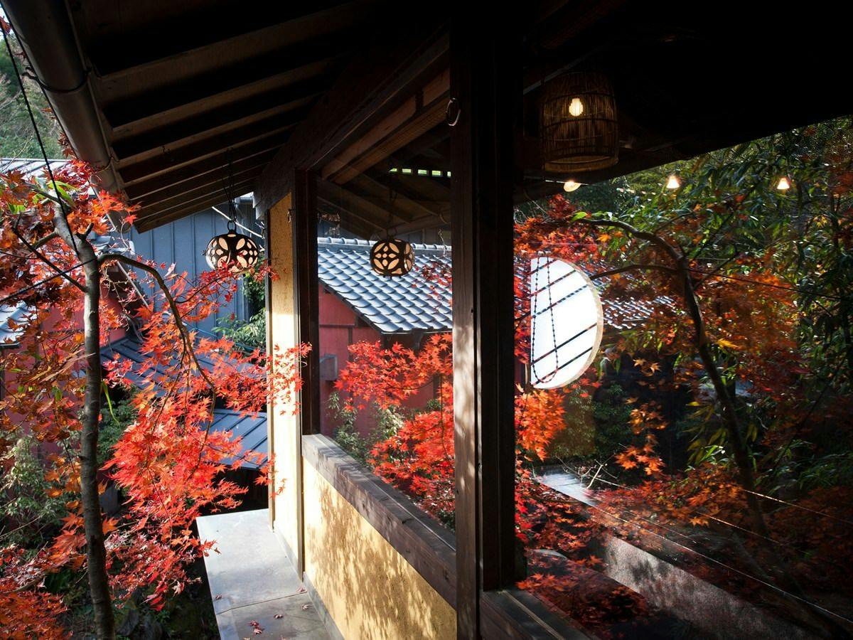 秘境　白川源泉　山荘　竹ふえ