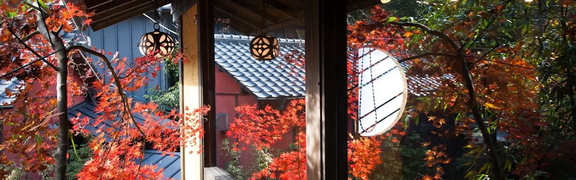 秘境 白川源泉 山荘 竹ふえ