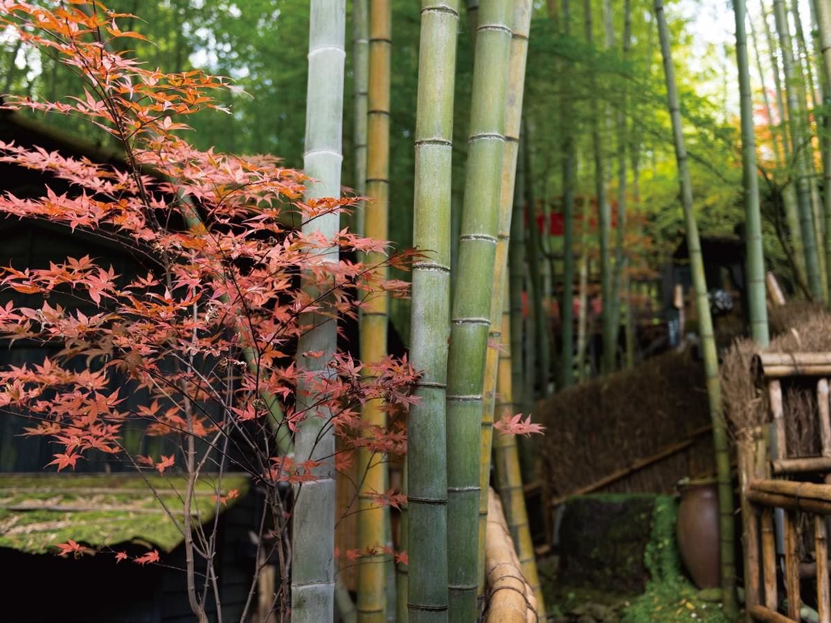 秘境　白川源泉　山荘　竹ふえ