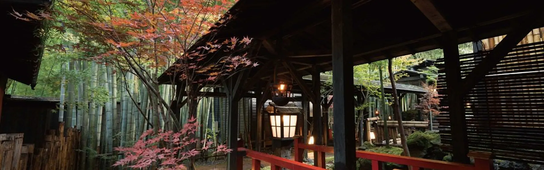 秘境 白川源泉 山荘 竹ふえ