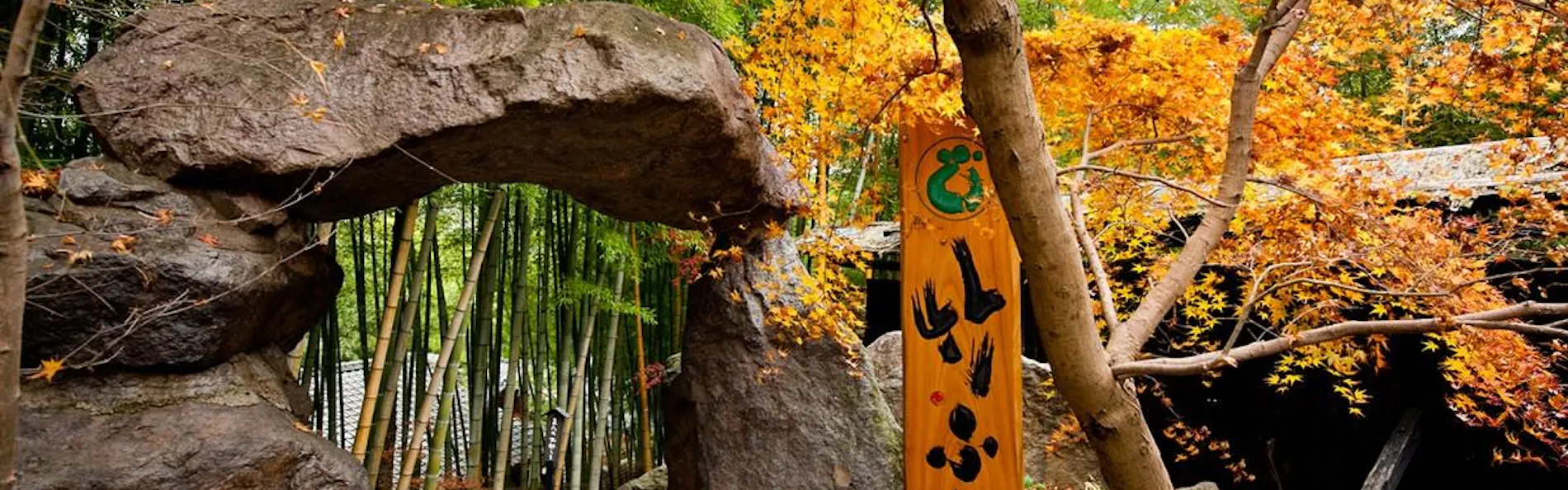 秘境 白川源泉 山荘 竹ふえ