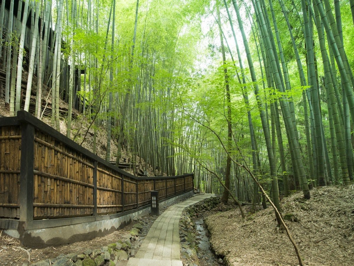 秘境　白川源泉　山荘　竹ふえ