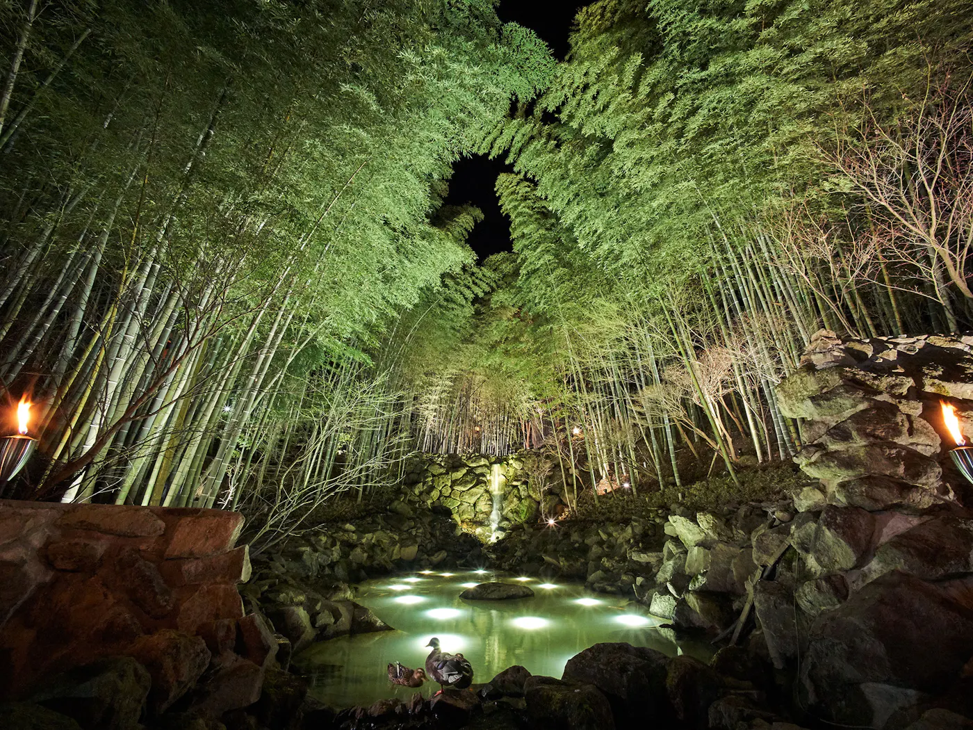 秘境 白川源泉 山荘 竹ふえ：夜の竹林と露天風呂