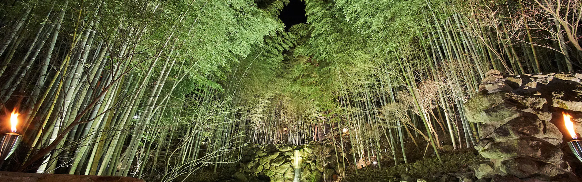 秘境 白川源泉 山荘 竹ふえ