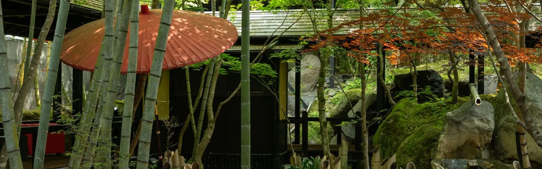 秘境 白川源泉 山荘 竹ふえ