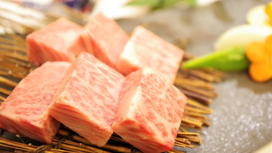 Quintessa Hotel Ogaki