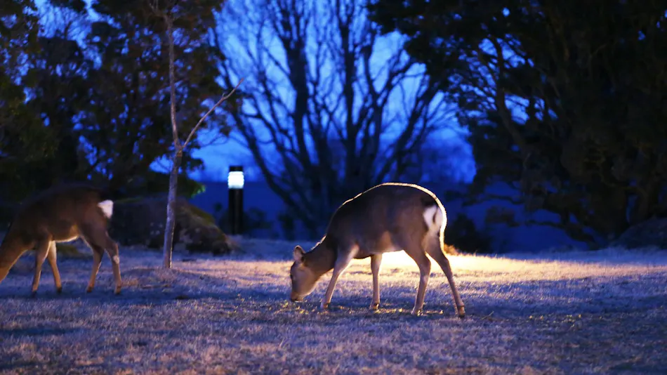 Hotel Harvest Amagi Kogen