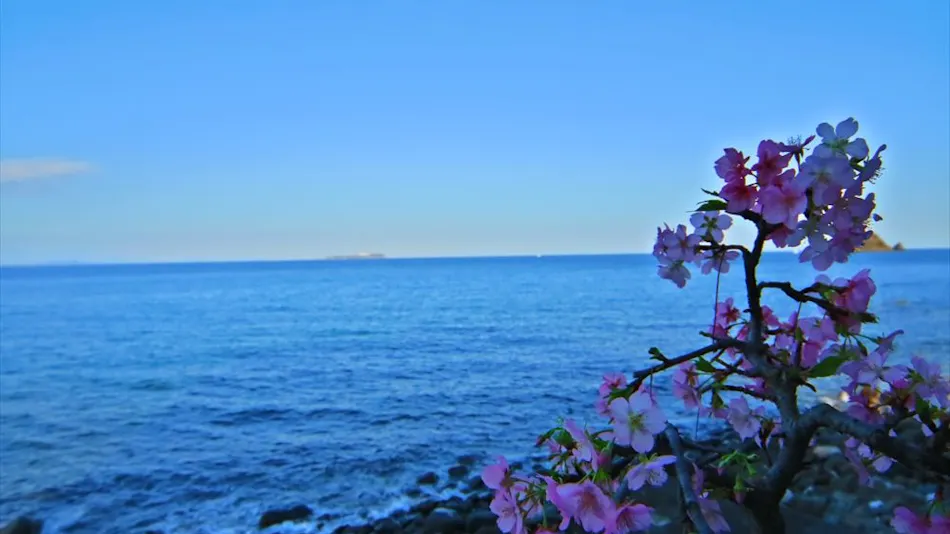 Luxury Wa Hotel Kaze no Kaori UMI
