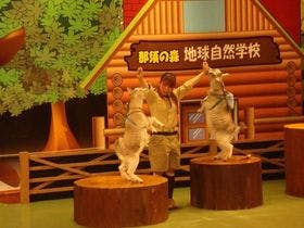 東急那須リゾート　ホテルハーヴェスト那須