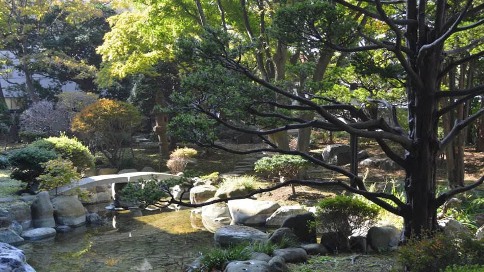 Bourou NOGUCHI Hakodate