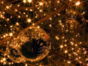 【Sweet  Night  Memories】星降る夜空のXmas（2食付）
