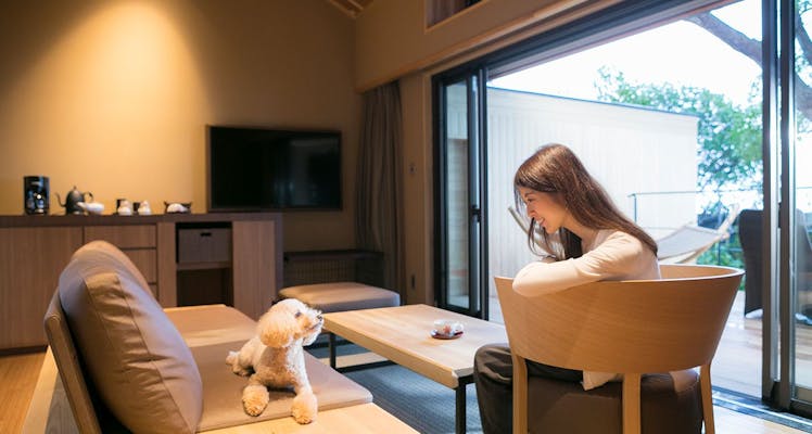 淡路島 ペットと泊まれる宿 9選 宿泊予約は 一休 Com 淡路島 ペットと泊まれる宿 9選 宿泊予約は 一休 Com