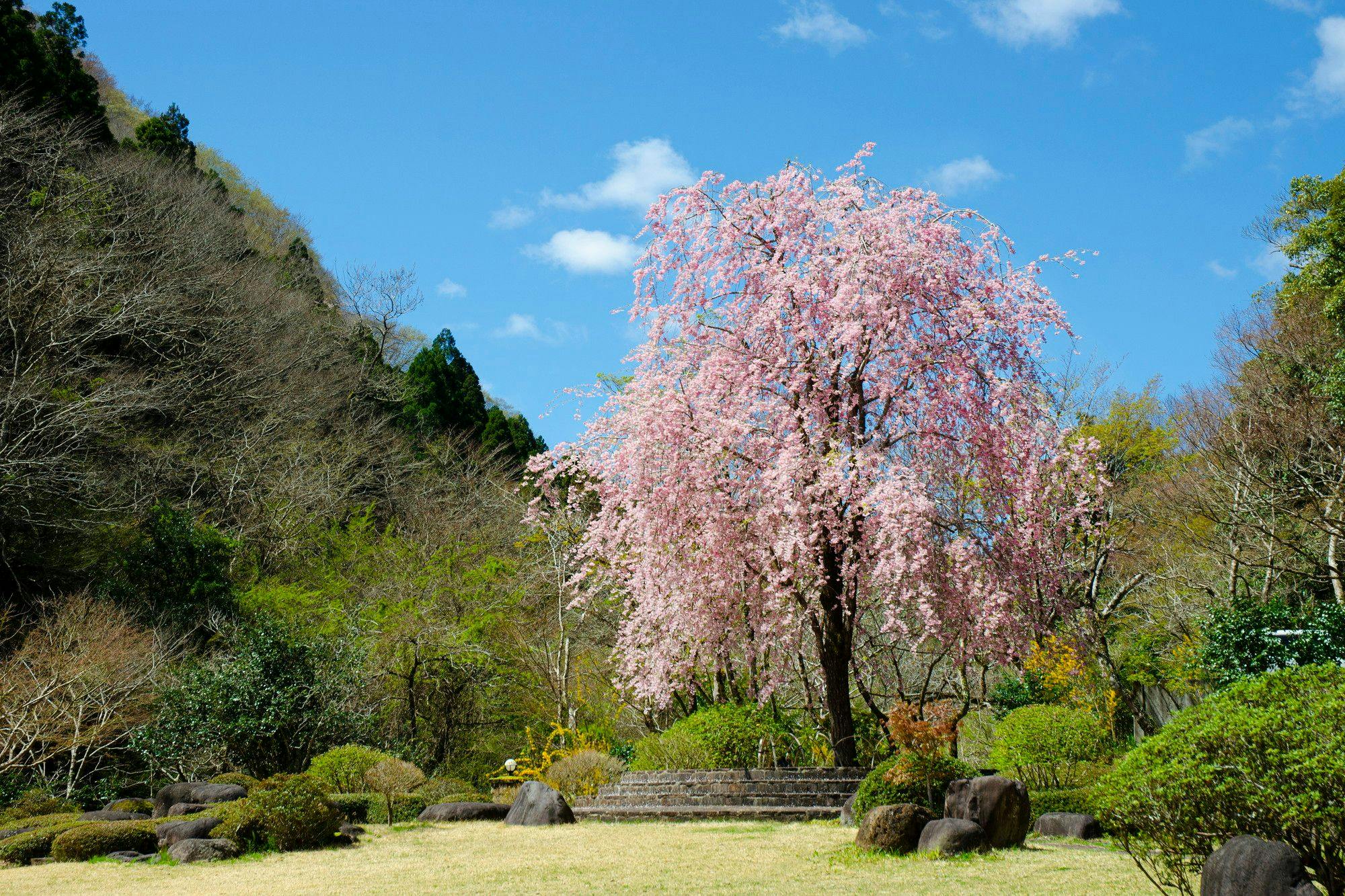 東府やResort＆Spa－Izu