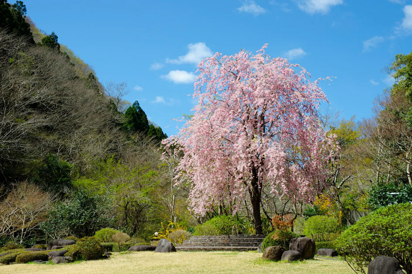 東府やResort＆Spa－Izu：敷地の庭園