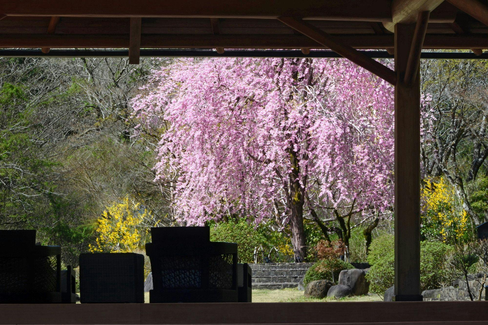 東府やResort＆Spa－Izu